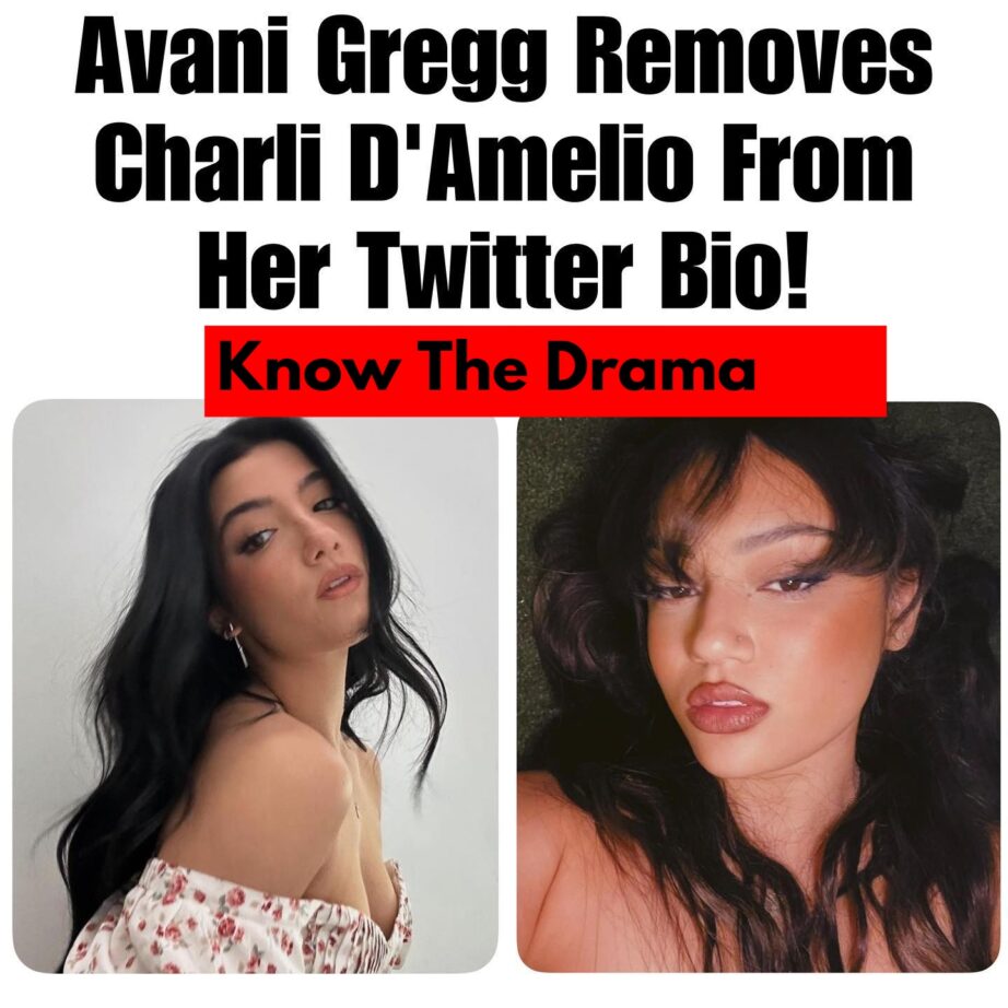 Avani Gregg and Charli D'Amelio