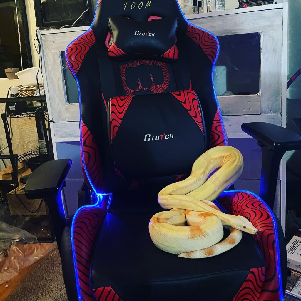 pewdiepie chair