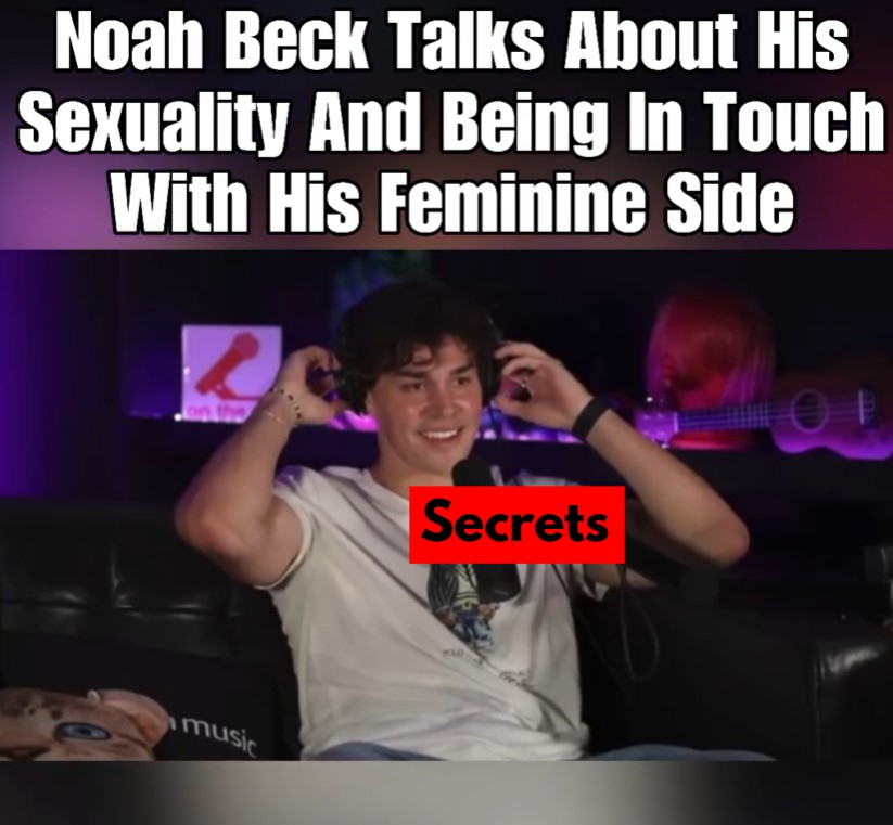 Noah Beck Sexuality