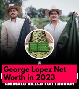 What is George Lopez Net Worth 2023 - Dead, House, Aarika Lynn Maisak
