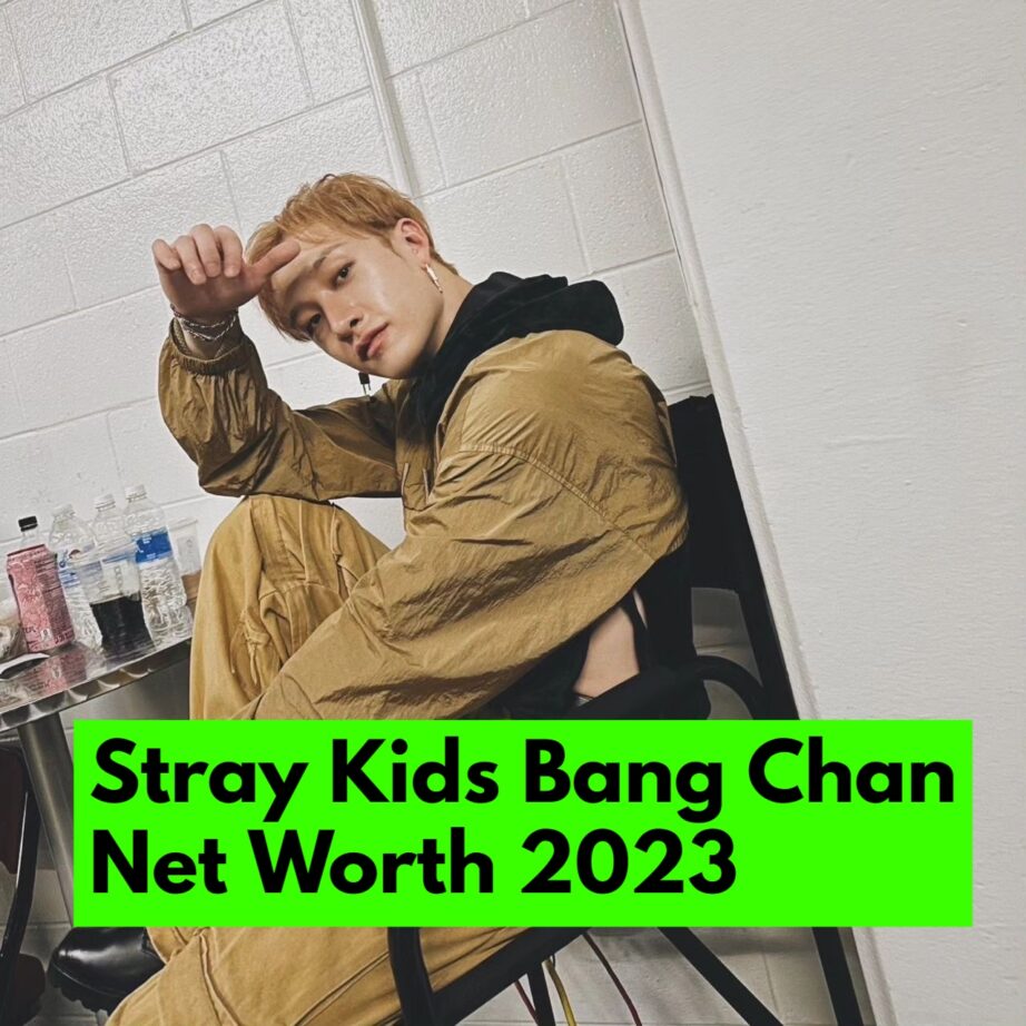 Stray Kids Bang Chan Net Worth 2023