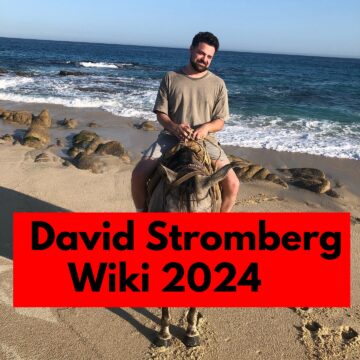 David Stromberg