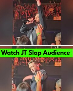 Justin Timberlake Caught on Camera Slapping Away Fan's Hand During